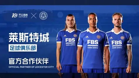 开云「中国」Kaiyun·官方网站 - 网页版登录入口