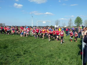 开云体育官网下载-青少年体育活动参与动机分析与提升，青少年体育活动参与动机分析与提升研究