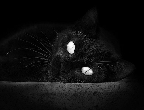 中超联赛中国青年队战胜 球员表现突出,中超球队各队青训的情况