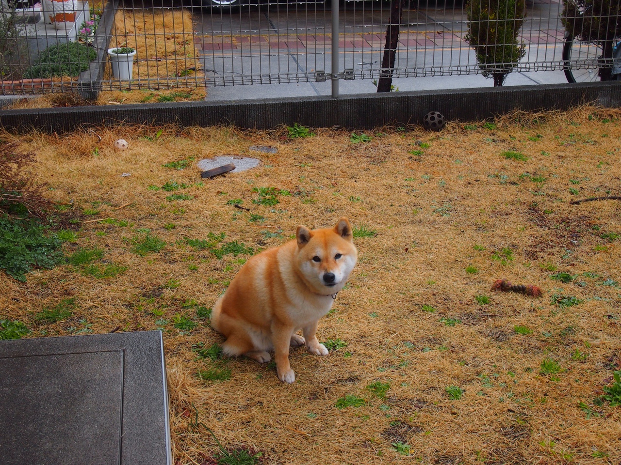 开云体育在线-乒乓混合团体世界杯2024赛制首次曝光，乒乓世界杯团体赛出场顺序