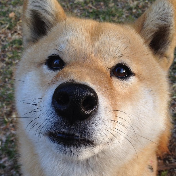亚洲杯中国女足惨败 球迷反思球队问题,中国女足亚洲区预选赛