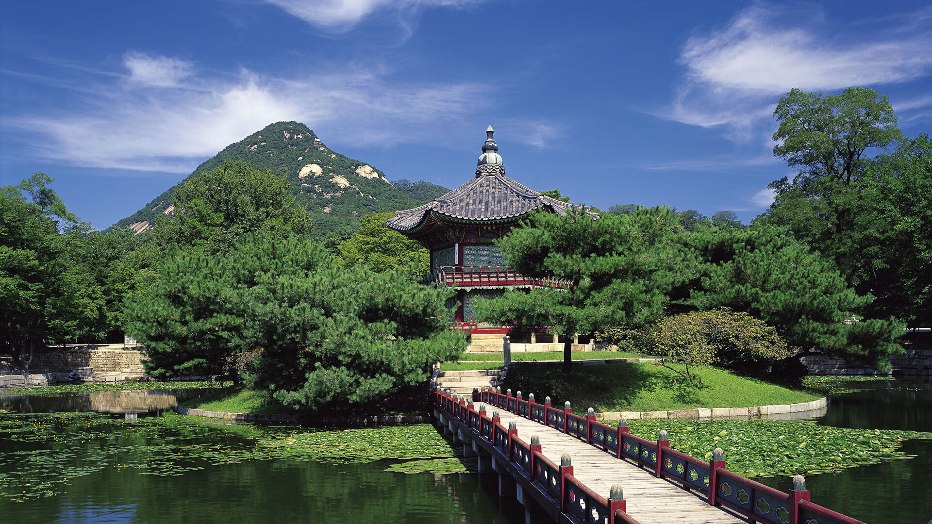 开云体育app下载-都灵中前场多点联动提升进攻效率，都灵队前锋