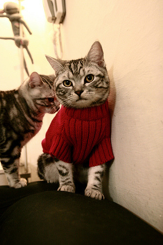 开云体育登录入口-中甲俱乐部搭建线上球迷社群增强支持互动感，足球联赛交流群