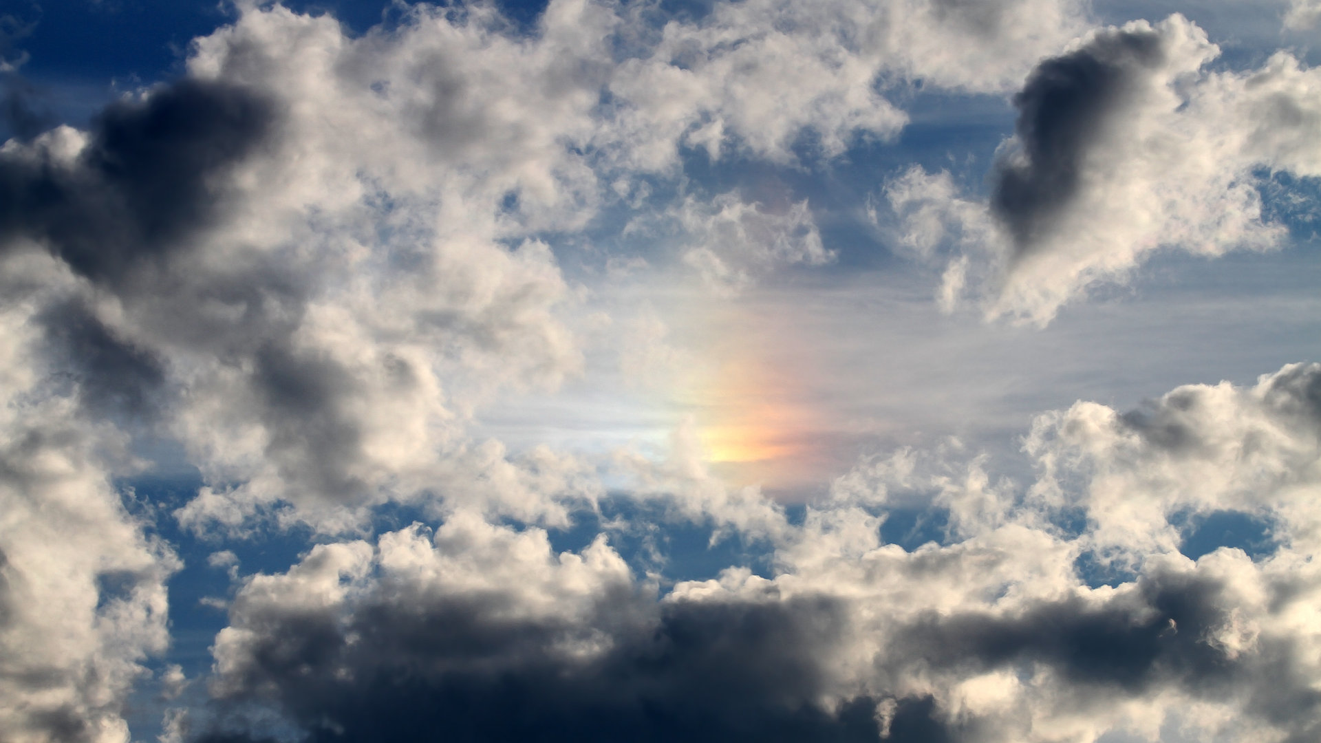 开云体育平台-张雨霏蝶泳动作流畅优雅，张雨霏蝶泳技术特点