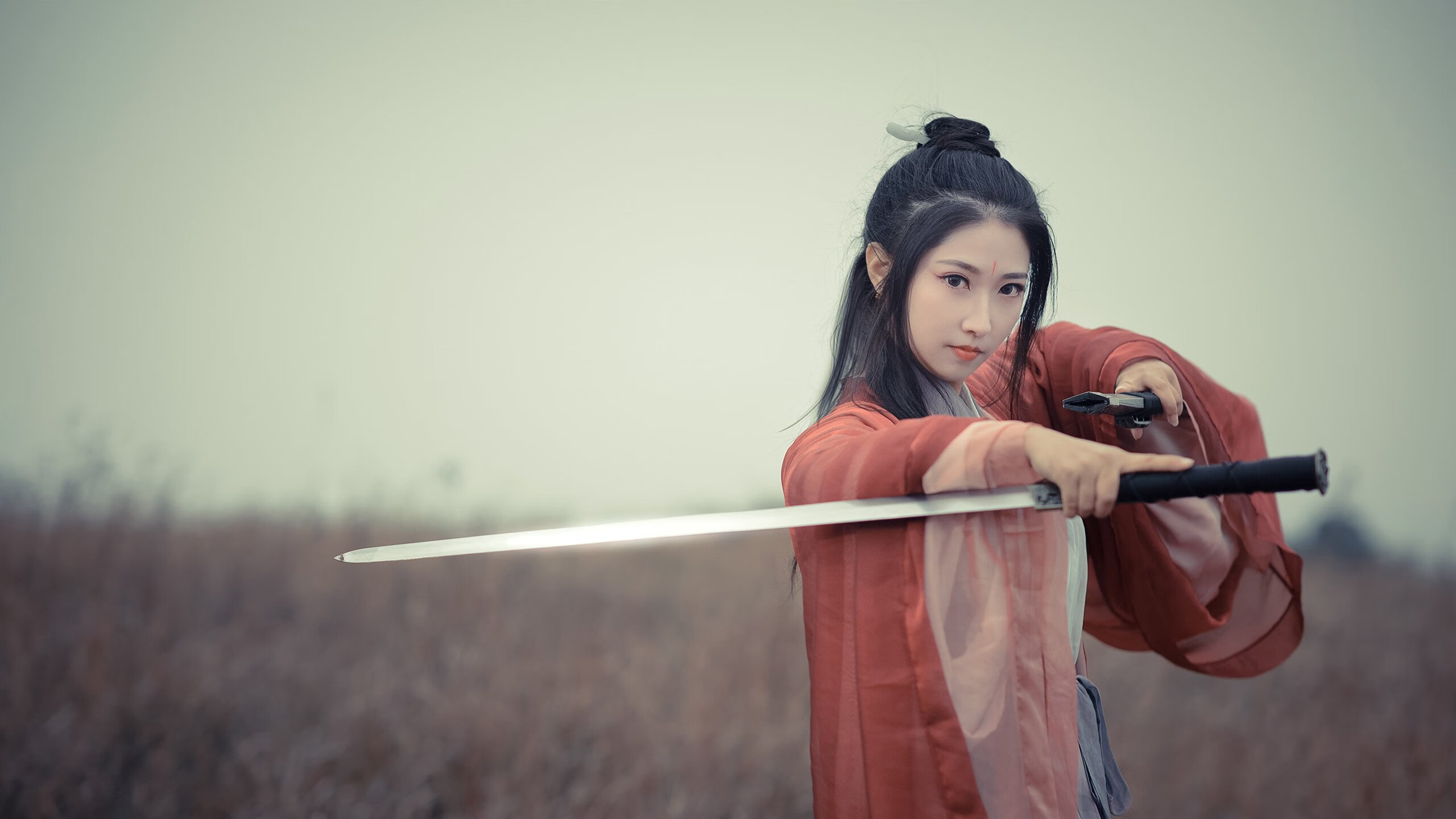 森林狼主场布景焕然一新增强品牌识别度，森林狼logo