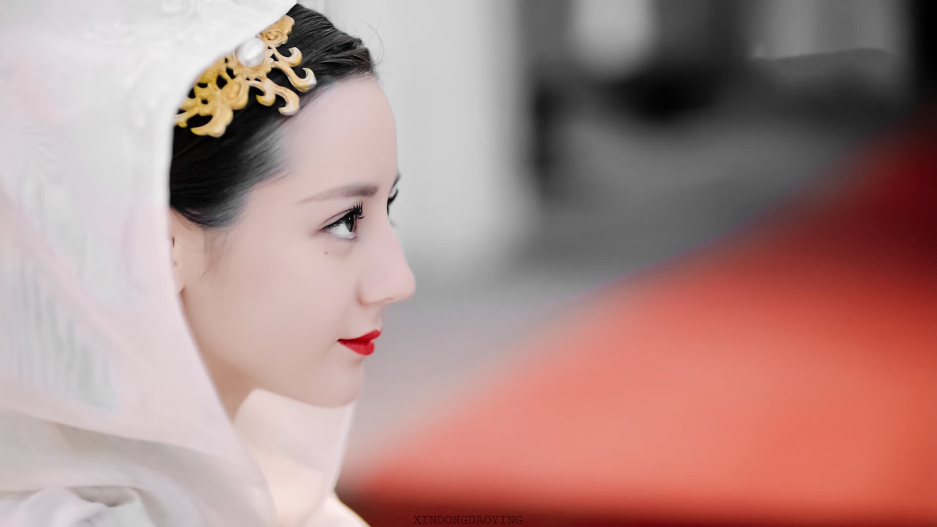 美洲杯明星闪耀：天赋与努力的完美结合，美洲杯有哪些明星