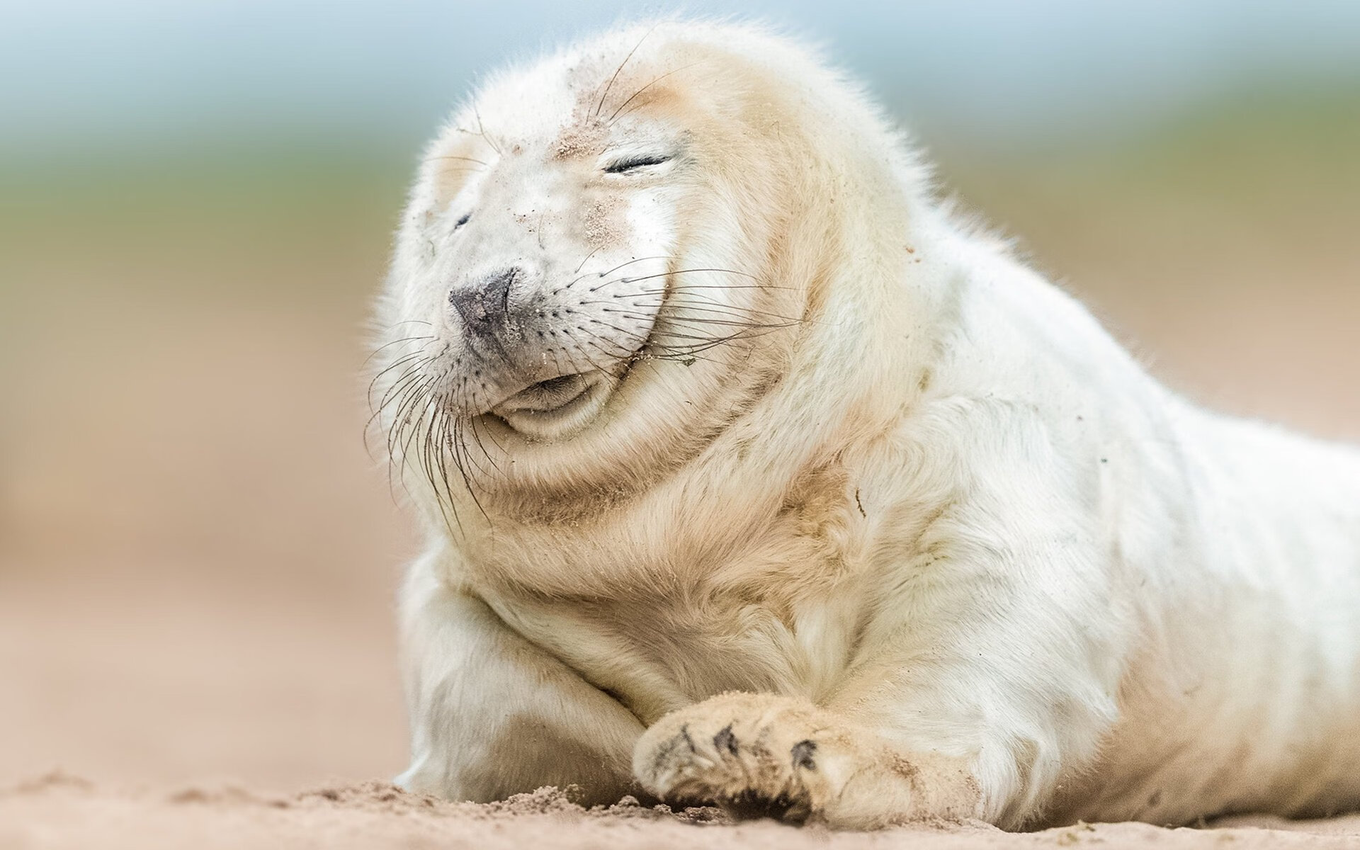 开云体育足球-艾比·德尔福：每次拦截都成为南非队反击的关键，艾德和比尔的故事