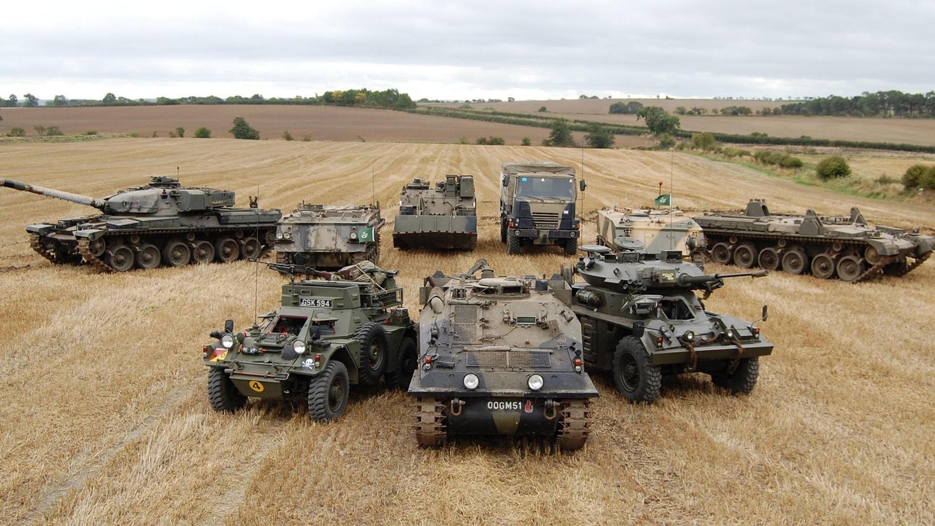 蝶泳初赛突尼斯新秀表现不俗,最新蝶泳视频