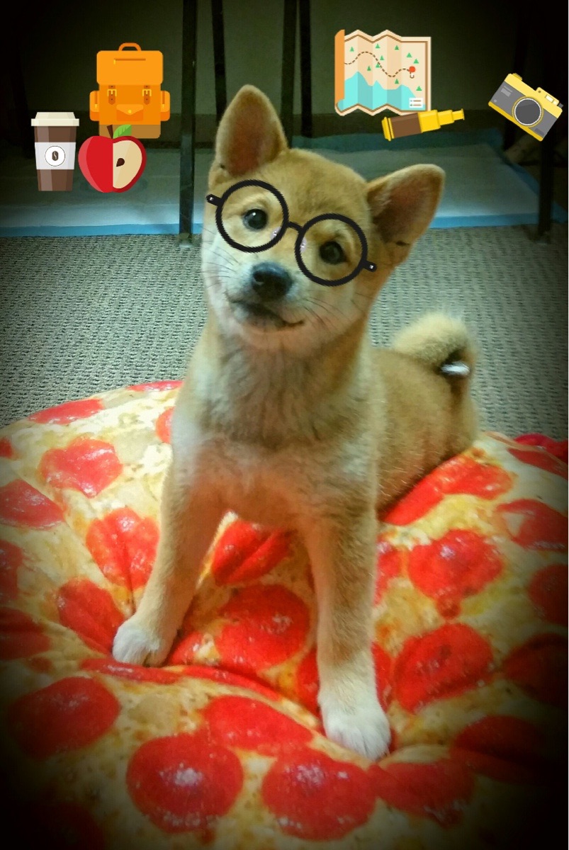 跳水动作精准吉尔吉斯斯坦收获信心,吉尔吉斯坦摔跤手