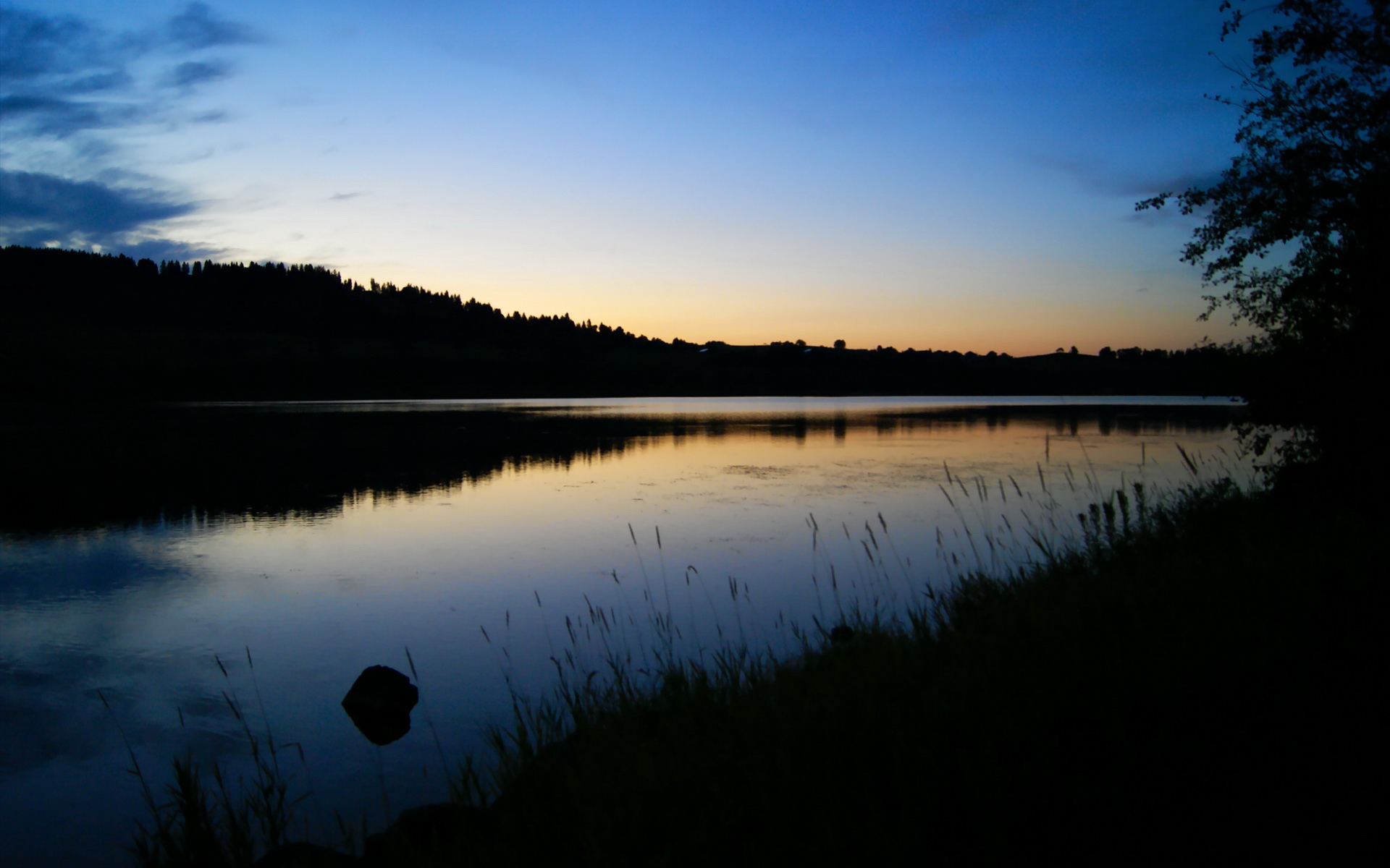 东莞大风天作业险象环生,安全须警惕,东莞风很大