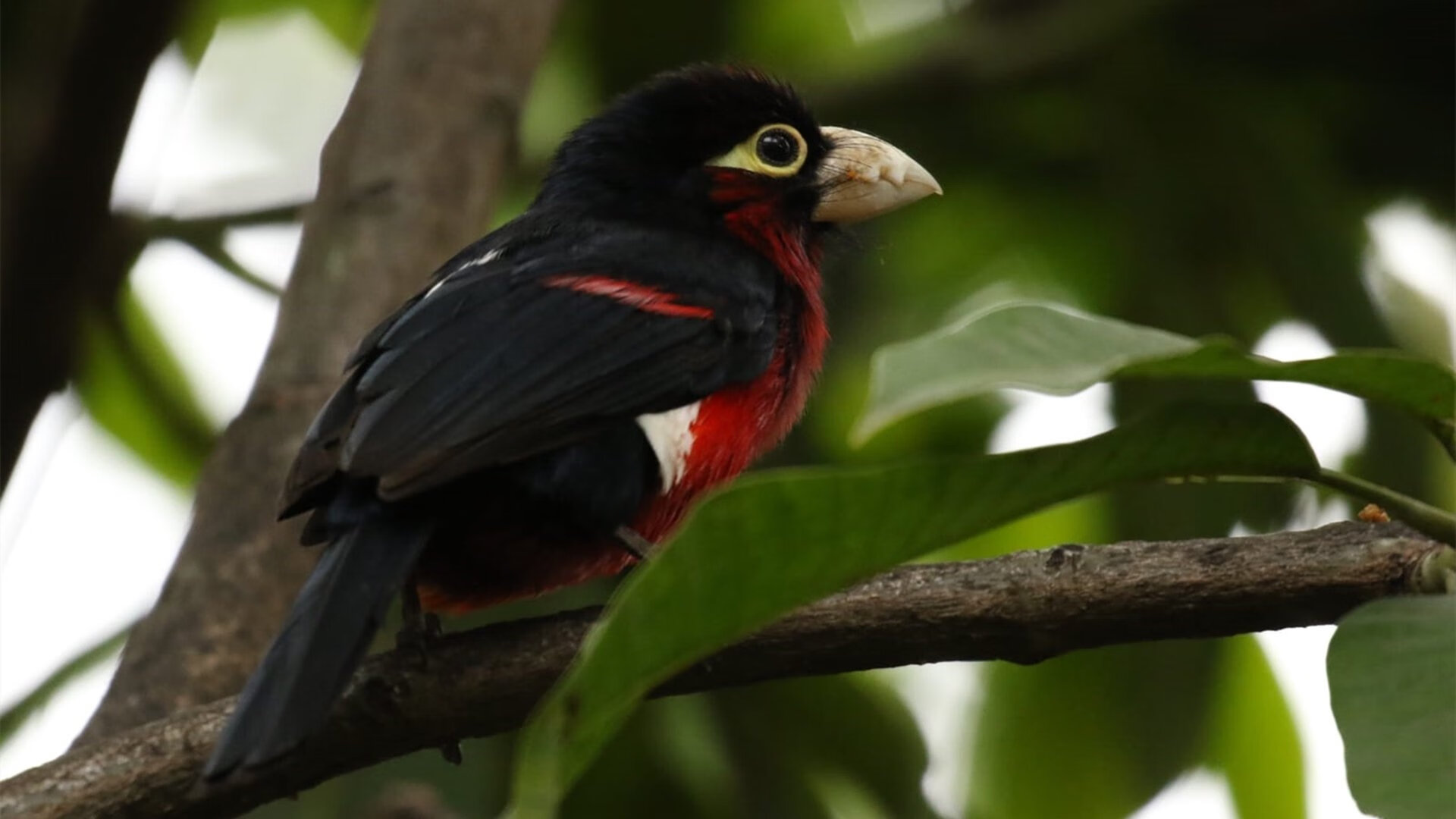 中国足球青训基地人才培养新模式研究与实践,中国足球青训体系是什么